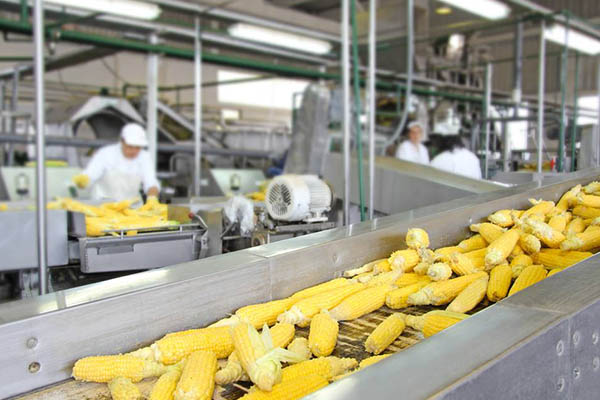 Food Processing
