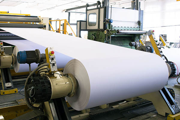 Paper & Pulp